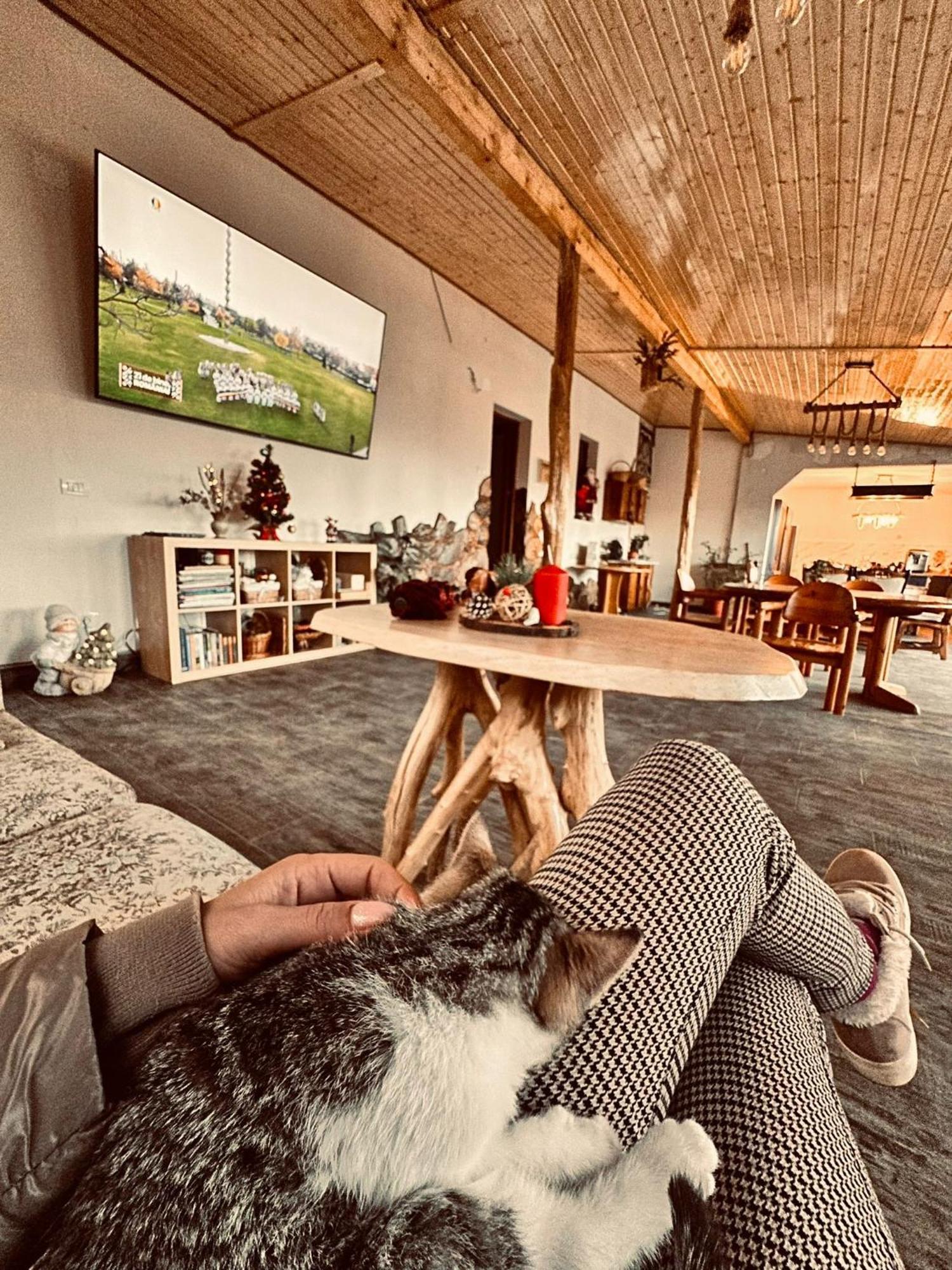 Pensiunea Salas Salasu de Sus Luaran gambar